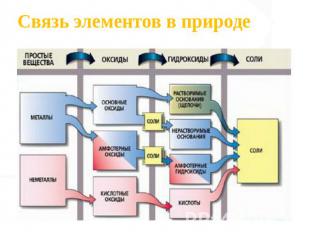 Связь элементов в природе