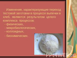 Изменения, характеризующие переход тестовой заготовки в процессе выпечки в хлеб,