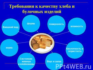 Требования к качеству хлеба и булочных изделий
