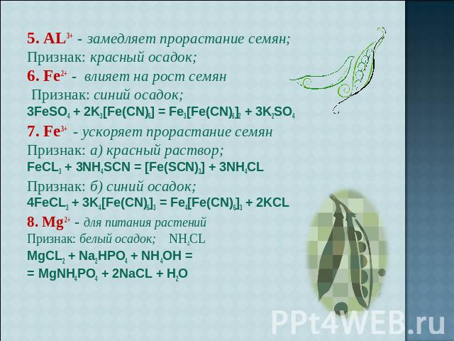 5. AL3+ - замедляет прорастание семян;Признак: красный осадок; 6. Fe2+ - влияет на рост семян Признак: синий осадок; 3FeSO4 + 2K3[Fe(CN)6] = Fe3[Fe(CN)6]2 + 3K2SO47. Fe3+ - ускоряет прорастание семян Признак: а) красный раствор; FeCL3 + 3NH4SCN = [F…