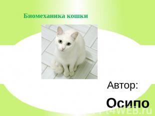 Биомеханика кошки Автор: Осипова Ольга, 8 класс, МБОУ ООШ № 269ЗАТО Александровс