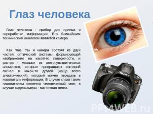 Глаз человека Глаз человека - прибор для приема и переработки информации. Его бл