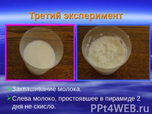 Третий эксперимент Заквашивание молока. Слева молоко, простоявшее в пирамиде 2 д