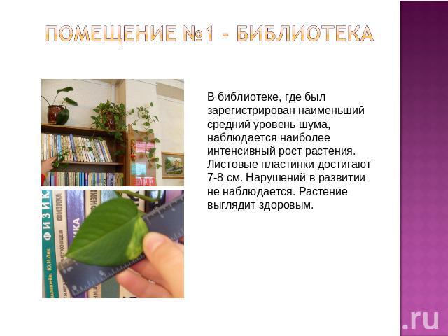 Помещение №1 - библиотека В библиотеке, где был зарегистрирован наименьший средний уровень шума, наблюдается наиболее интенсивный рост растения. Листовые пластинки достигают 7-8 см. Нарушений в развитии не наблюдается. Растение выглядит здоровым.