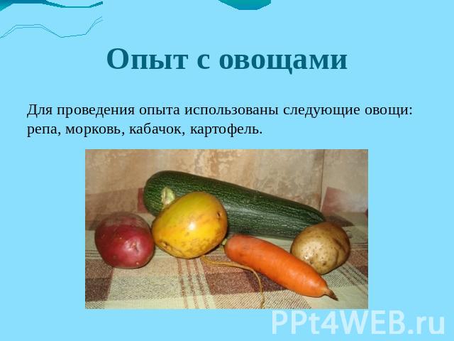 Опыт с овощами Для проведения опыта использованы следующие овощи: репа, морковь, кабачок, картофель.