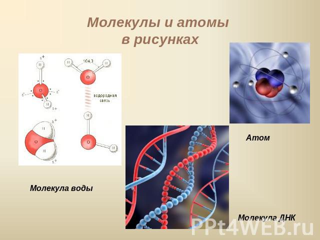 Молекулы и атомы в рисунках Молекула воды Атом Молекула ДНК