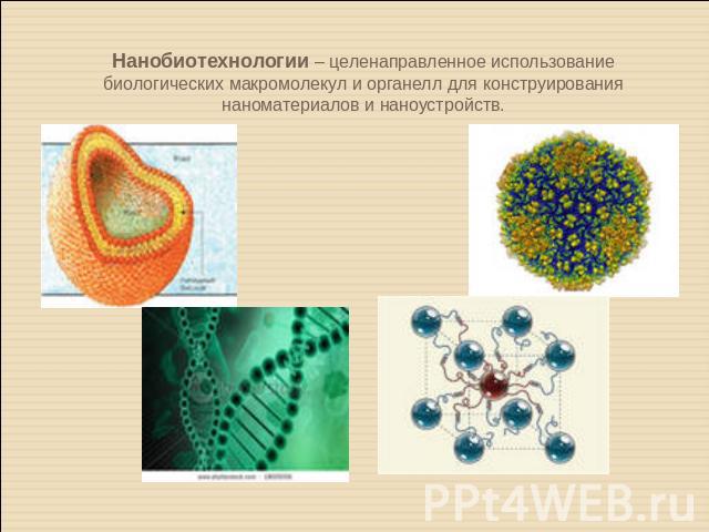 Нанобиотехнологии – целенаправленное использование биологических макромолекул и органелл для конструирования наноматериалов и наноустройств.