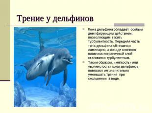 Трение у дельфинов Кожа дельфина обладает особым демпфирующим действием, позволя
