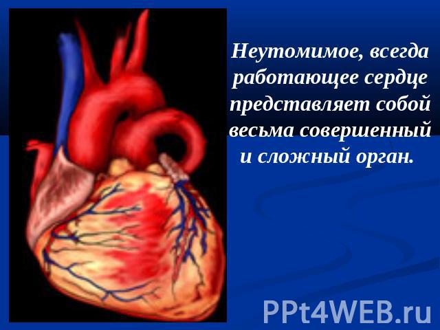 Неутомимое, всегда работающее сердце представляет собой весьма совершенный и сложный орган.