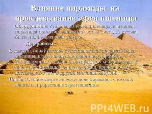 Влияние пирамиды на проклевывание зерен пшеницы Оборудование: 2 пиалы, 20 зерен