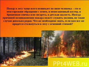 Пожар в лесу чаще всего возникает по вине человека – это и неосторожное обращени