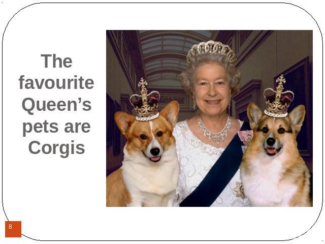 The favourite Queen’s pets are Corgis