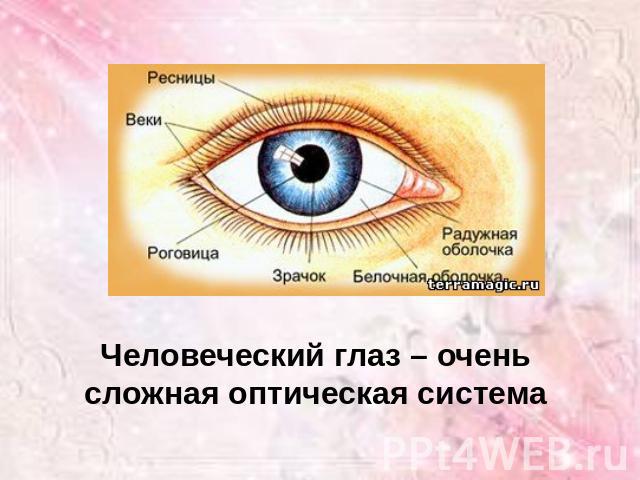 Человеческий глаз – очень сложная оптическая система