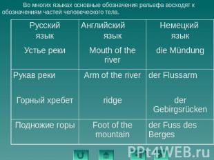 Во многих языках основные обозначения рельефа восходят к обозначениям частей чел
