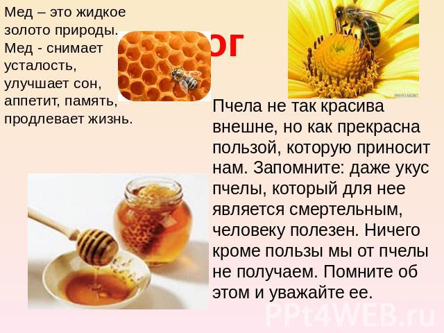 итогМед – это жидкое золото природы. Мед - снимает усталость, улучшает сон, аппетит, память, продлевает жизнь.Пчела не так красива внешне, но как прекрасна пользой, которую приносит нам. Запомните: даже укус пчелы, который для нее является смертельн…