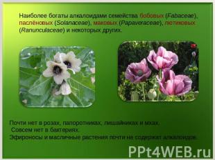 Наиболее богаты алкалоидами семейства бобовых (Fabaceae), паслёновых (Solanaceae