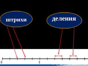 штрихи деления