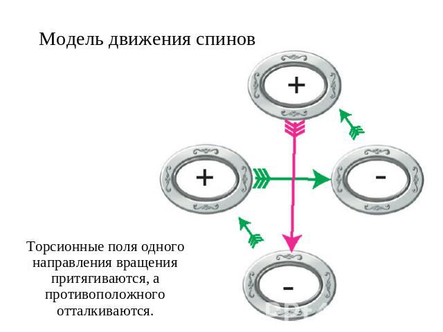 Модель движения спиновТорсионные поля одного направления вращения притягиваются, а противоположного отталкиваются.