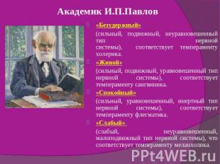 Академик И.П.Павлов «Безудержный» (сильный, подвижный, неуравновешенный тип нерв