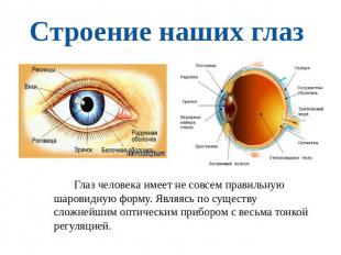 Строение наших глаз Глаз человека имеет не совсем правильную шаровидную форму. Я