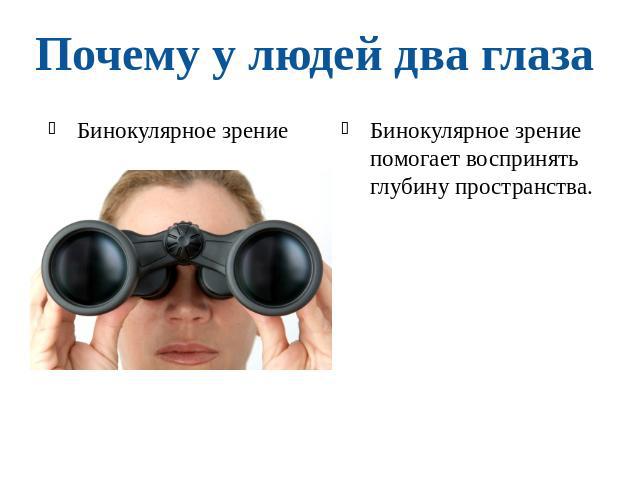 Почему у людей два глазаБинокулярное зрение Бинокулярное зрение помогает воспринять глубину пространства.
