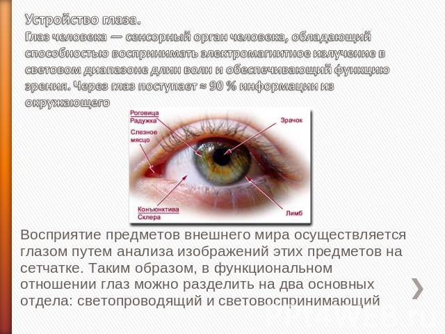 Устройство глаза.Глаз человека — сенсорный орган человека, обладающий способностью воспринимать электромагнитное излучение в световом диапазоне длин волн и обеспечивающий функцию зрения. Через глаз поступает ≈ 90 % информации из окружающего Восприят…