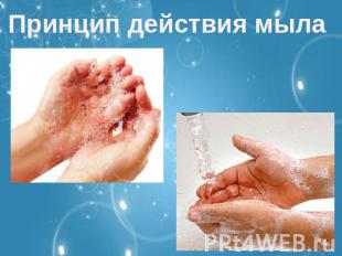 Принцип действия мыла