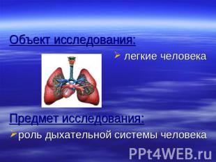 Объект исследования: легкие человекаПредмет исследования:роль дыхательной систем