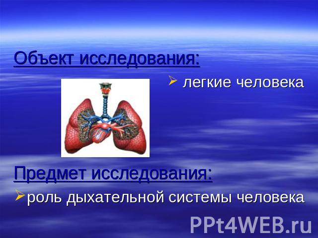 Объект исследования: легкие человекаПредмет исследования:роль дыхательной системы человека