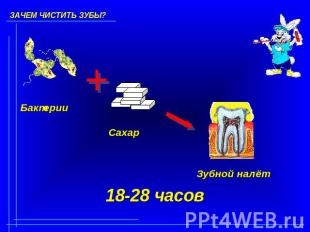 Бактерии Сахар Зубной налёт 18-28 часов