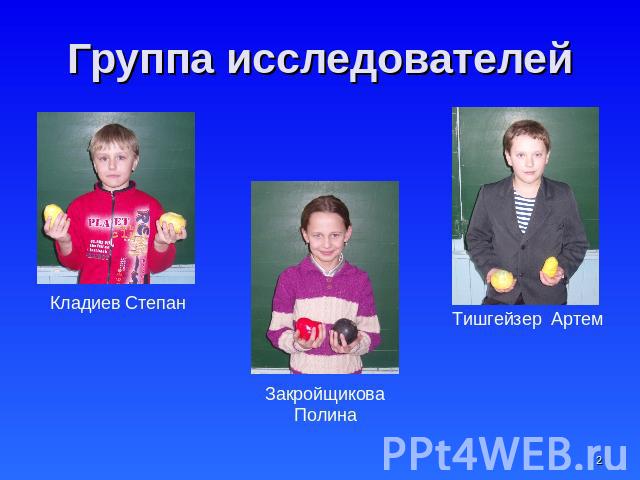 Группа исследователей Кладиев Степан Закройщикова Полина Тишгейзер Артем