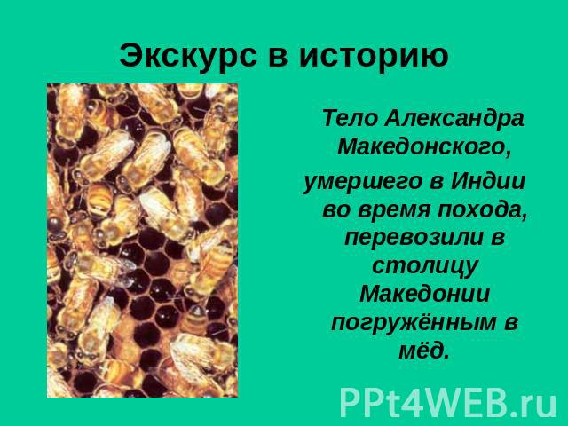 Экскурс в историю Тело Александра Македонского,умершего в Индии во время похода, перевозили в столицу Македонии погружённым в мёд.