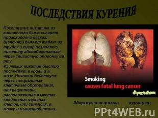 ПОСЛЕДСТВИЯ КУРЕНИЯ Поглощение никотина из кислотного дыма сигарет происходит в