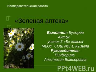 Исследовательская работа«Зеленая аптека» Выполнил: Бусырев Антон,ученик 5 «Б» кл