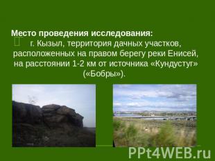 Место проведения исследования: г. Кызыл, территория дачных участков, расположенн