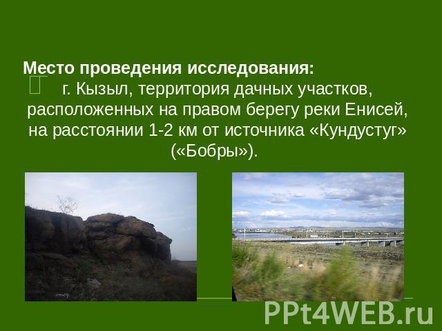 Место проведения исследования: г. Кызыл, территория дачных участков, расположенных на правом берегу реки Енисей, на расстоянии 1-2 км от источника «Кундустуг» («Бобры»).