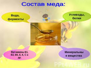 Состав меда: Вода, ферменты Витамины В1, В2, В6, Е, К, С и др. Углеводы, белки М