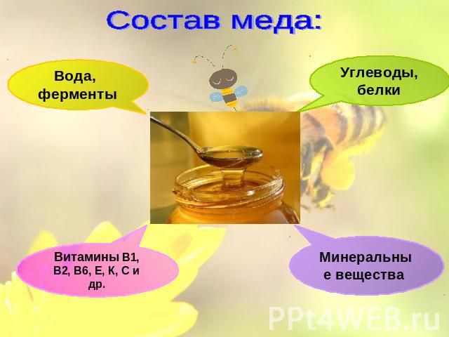 Состав меда: Вода, ферменты Витамины В1, В2, В6, Е, К, С и др. Углеводы, белки Минеральные вещества