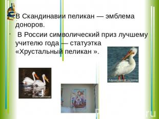 В Скандинавии пеликан — эмблема доноров. В России символический приз лучшему учи