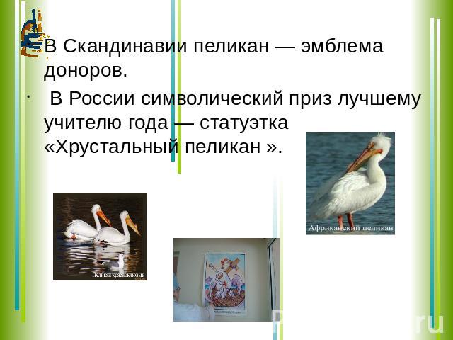 В Скандинавии пеликан — эмблема доноров. В России символический приз лучшему учителю года — статуэтка «Хрустальный пеликан ».