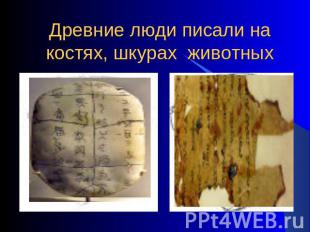 Древние люди писали на костях, шкурах животных