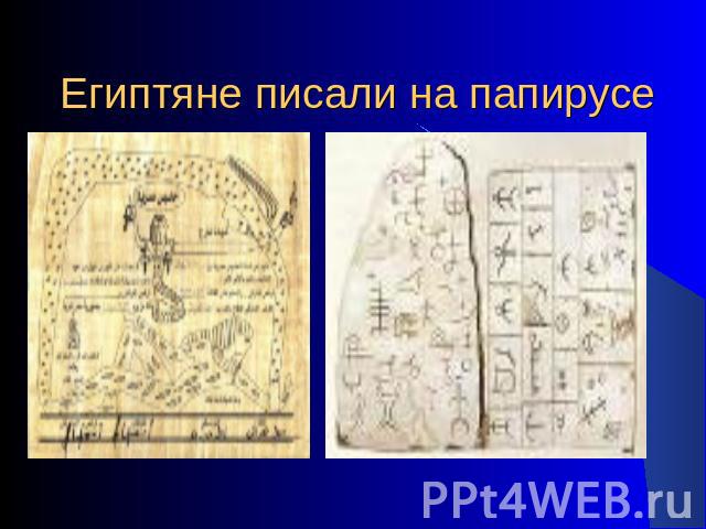 Египтяне писали на папирусе