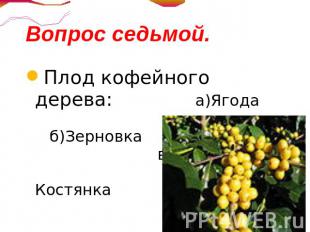 Вопрос седьмой.Плод кофейного дерева: а)Ягода б)Зерновка в)Семянка г)Костянка