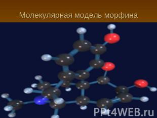 Молекулярная модель морфина