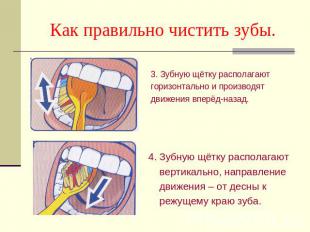 Как правильно чистить зубы.3. Зубную щётку располагают горизонтально и производя