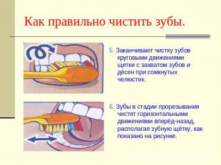 Как правильно чистить зубы. 5. Заканчивают чистку зубов круговыми движениями щет