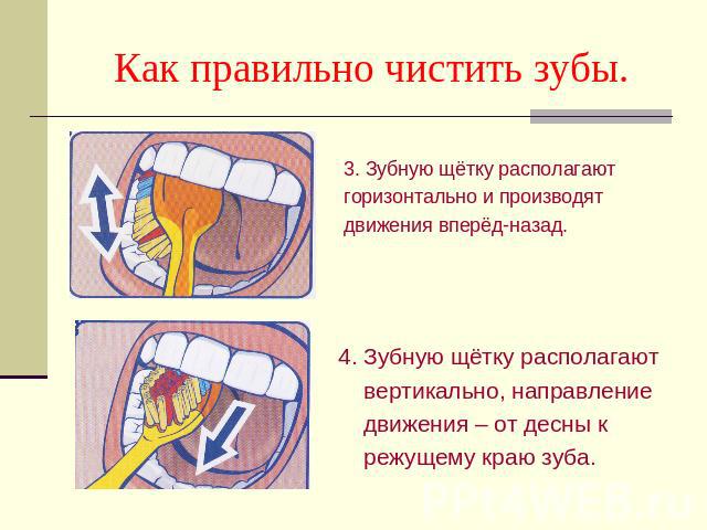 Как правильно чистить зубы.3. Зубную щётку располагают горизонтально и производят движения вперёд-назад. 4. Зубную щётку располагают вертикально, направление движения – от десны к режущему краю зуба.