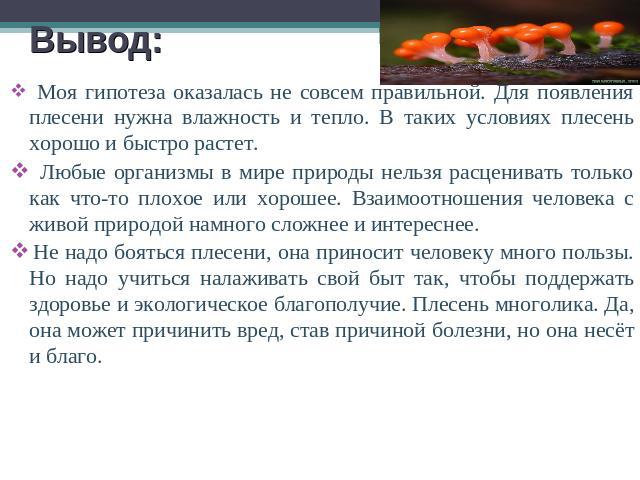 Моя гипотеза оказалась не совсем правильной. Для появления плесени нужна влажность и тепло. В таких условиях плесень хорошо и быстро растет. Любые организмы в мире природы нельзя расценивать только как что-то плохое или хорошее. Взаимоотношения чело…