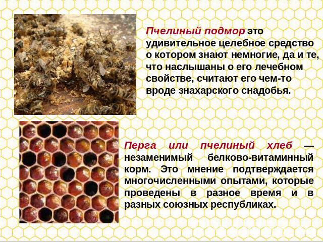Пчелиный подмор это удивительное целебное средство о котором знают немногие, да и те, что наслышаны о его лечебном свойстве, считают его чем-то вроде знахарского снадобья. Перга или пчелиный хлеб — незаменимый белково-витаминный корм. Это мнение под…