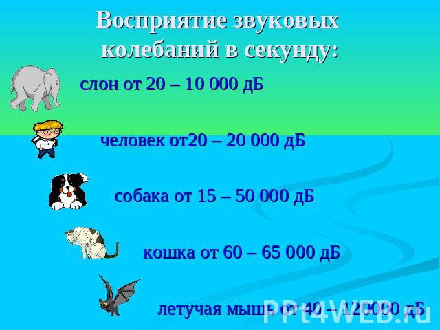 Восприятие звуковых колебаний в секунду: слон от 20 – 10 000 дБ человек от20 – 20 000 дБ собака от 15 – 50 000 дБ кошка от 60 – 65 000 дБ летучая мышь от 40 – 120000 дБ